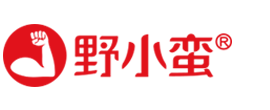 哈爾濱假肢廠:大楊假肢_哈爾濱市大楊假肢_3D打印、3D掃描脊柱側(cè)彎支具-黑龍江假肢_哈爾濱假肢_哈爾濱假肢公司（矯形器.脊柱側(cè)彎）